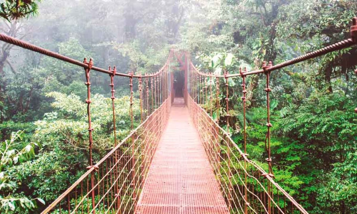 Viagi:2 COSTA RICA ESPECIAL Desde: $595.00 USD En ocupación Doble
